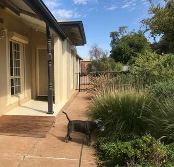 Birdsong Gardens