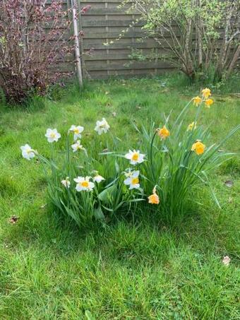 Apartamento Sch�ne Eigentumswohnung Mit Garten