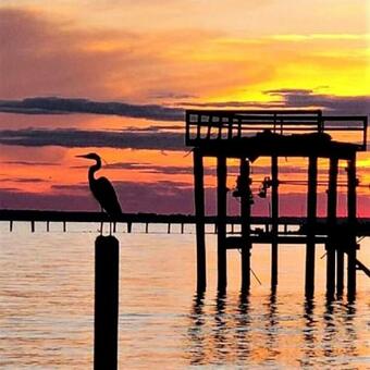 Blue Heron Beach Waterfront Vacation Home