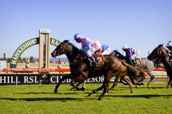 Hawkesbury Race Club Motel