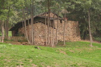 Apartamento Agricola Bargiolina