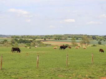 The Happy Valley Pod