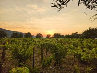 Apartamento Quinta Dos Padrinhos - Suites In The Heart Of The Douro