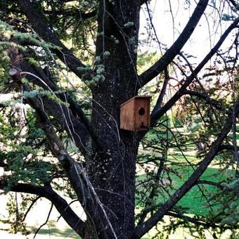 Apartamento Residence Oasi