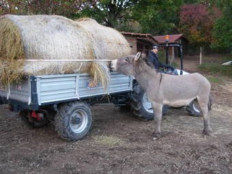 Agroturismo Il Montale