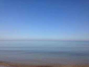 Huge Yard Familyfriendly Smarthome Walk To Beach Dunes Hiking Trails