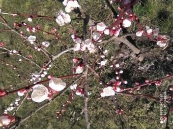 Lodge Domek Pralinka Nad Jeziorem - "ostoja Penderoza"