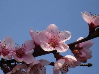 Agroturismo Spezialit�tenhof Familie Eichmann