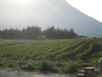 Agroturismo Agriturismo La Targa Florio