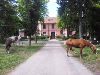 Agroturismo Country House Villa Delle Rose