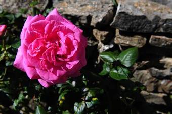 Agroturismo Agriturismo I Monti