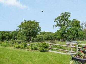 The Old Cow Shed At Ty Hir