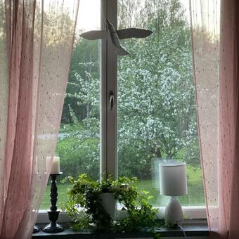 Apartamento Centralt I Svenstavik Med Stor Tr�dg�rd