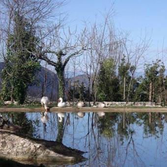 Agroturismo Fokaeon Farm