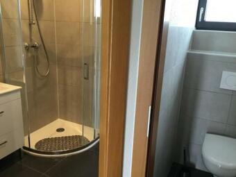 Vignoble Et Canne � Sucre