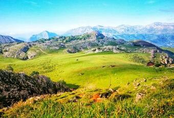 Alojamiento Kokomodreams