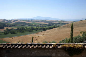 Agroturismo Podere Olivello