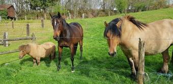 Le Moulin D'airou Au C?ur De La Baie Du Mont Saint Michel