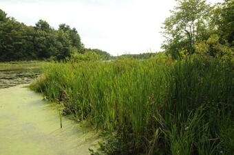 Gateway To Cape Cod Ada Accessible Cottage 6