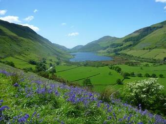 Hostal Dolffanog Fawr