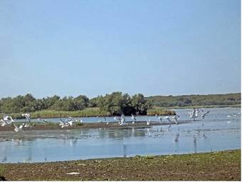 Hostal La Via Del Volano