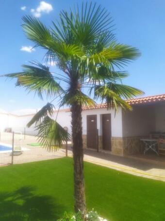 Casa Rural Los Llanos