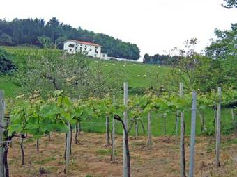 Hostal Pension Getariano