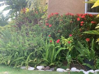 Ver fotos