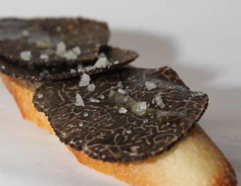 Bed & Breakfast Mas Conil