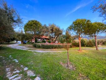 A Luxury Villa With Amazing Ambiance And View