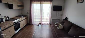 Vulcan Wine Resort Rose