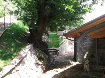 Apartamento Agriturismo Ai Ronchi