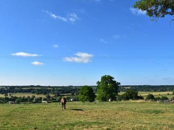 Small Burgundy House For Nature Lovers