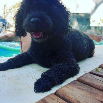 Villa Quinta La Encantada