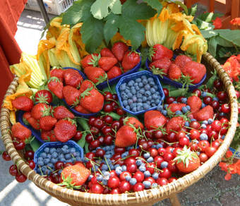 Agroturismo Agriturismo La Virginia