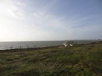 Apartamento Studio Noirmoutier Plage