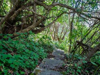 Langs Hideaway - Langs Beach Holiday Home