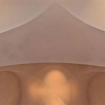 Hotel Le Dauphin Blanc