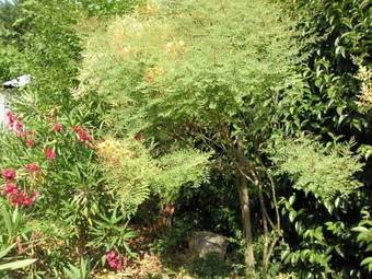 Bed & Breakfast La Vigueirado