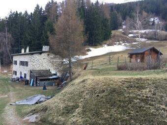 Apartamento Valposchiavo Immersi Nel Verde A 1400m