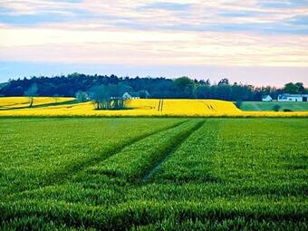 Holiday Home Nex� Xli