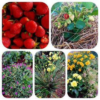 Ku?a Za Odmor Antonio