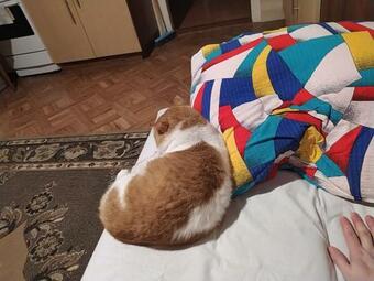 Domek Na Wsi-agroturystyka