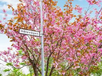 Holiday Home Fiskeb�ckskil IV