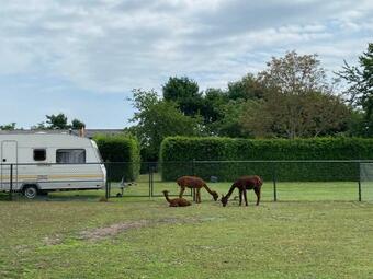Minicamping De Lindenhoeve