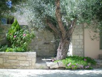 Hotel Dalabelos Estate