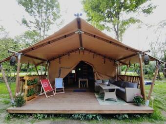 Forrest Glamp