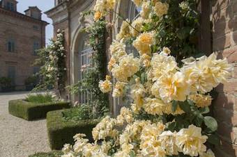 Bed & Breakfast Locanda Marchesi Alfieri