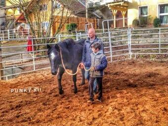 Apartamento Wohnung 6 Und 7