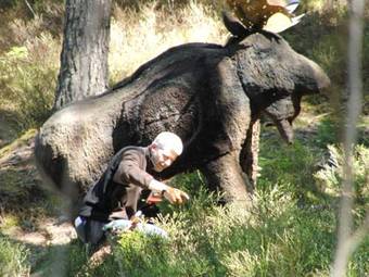 Bogensporthotel "bad"